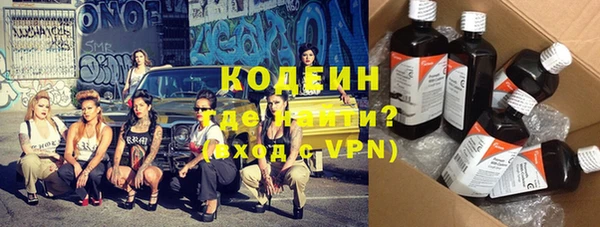 шишки Майский
